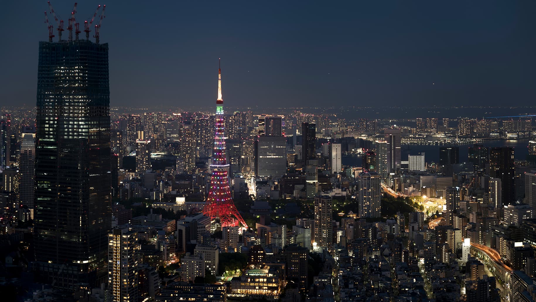 Lorem ipsum dolor sit amet consectetur a lorem metus diam dictum congue non fames et neque vel massa non in.